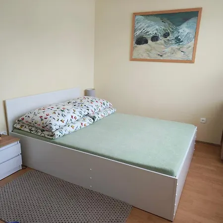 Pirat 3*